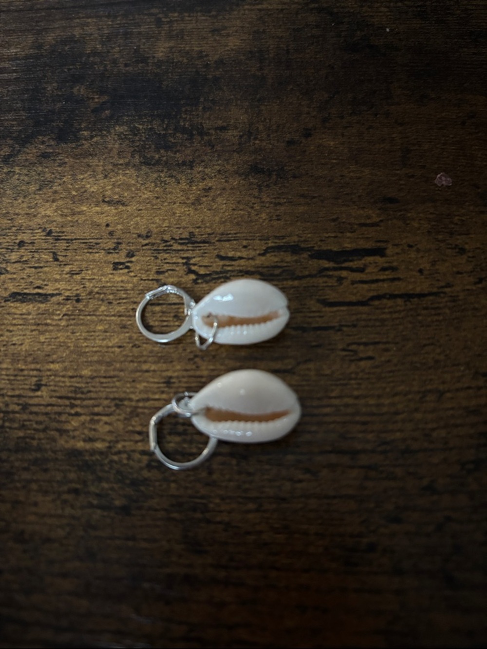 Cowrie Shell Hoop Earrings - White Shell with Silver Hoops